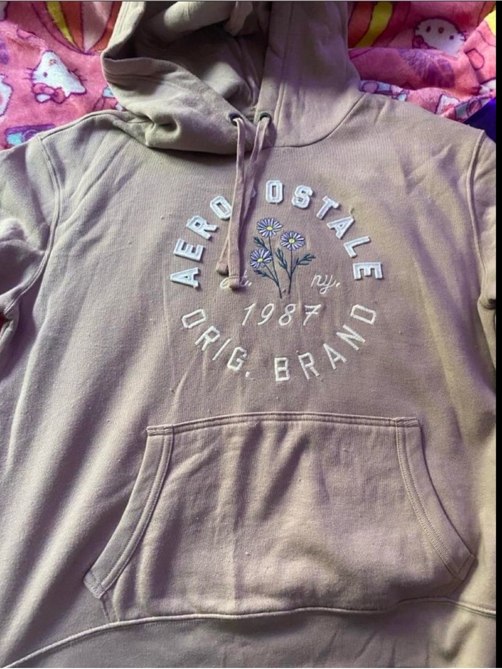 Aeropostale Men's Zip-Up Hoodie in Taupe with Floral Accent